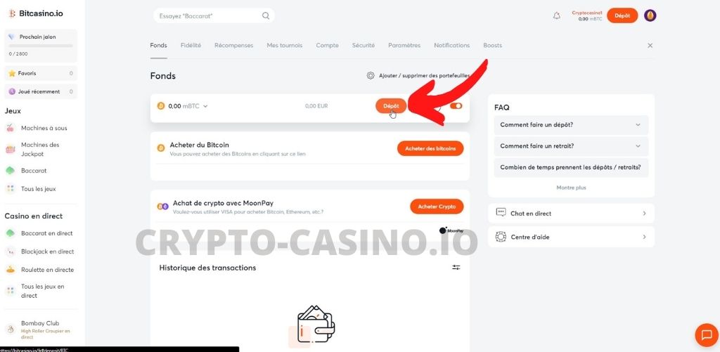 dépôt bitcasino