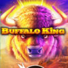 Buffalo King